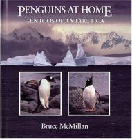 Penguins at home : gentoos of Antarctica /