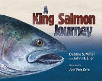 A king salmon journey