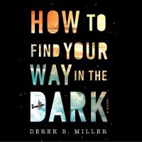 How to find your way in the dark : a novel /