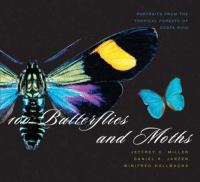100 butterflies and moths : portraits from the tropical forests of Costa Rica /