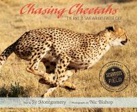 Chasing cheetahs : the race to save Africa's fastest cats /