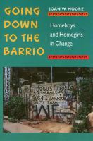 Going down to the barrio : homeboys and homegirls in change /
