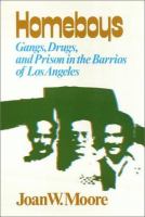 Homeboys : gangs, drugs, and prison in the barrios of Los Angeles /