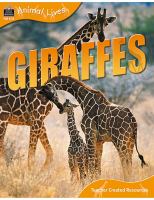 Giraffes /