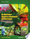 Illustrated glossary of botanical terminologies (an easy approach to plants terms).