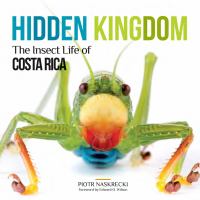 Hidden kingdom : the insect life of Costa Rica /