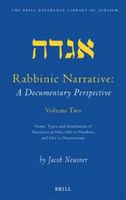Rabbinic narrative : a documentary perspective.