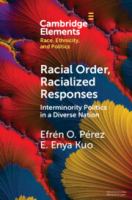 Racial order, racialized responses : interminority politics in a diverse nation /