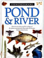 Pond & river /