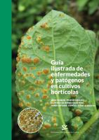Guia ilustrada de enfermedades y patogenos en cultivos horticolas.