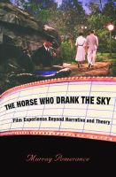 The Horse Who Drank the Sky Film Experience Beyond Narrative and Theory /