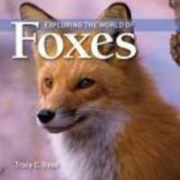 Exploring the world of foxes /