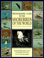 Photographic guide to the shorebirds of the world /