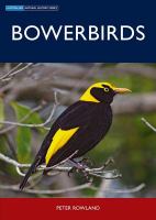 Bowerbirds /