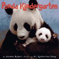 Panda kindergarten /
