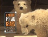 A pair of polar bears : twin cubs find a home at the San Diego Zoo /