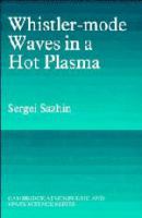 Whistler-mode waves in a hot plasma /