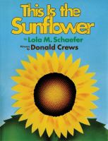 This is the sunflower /