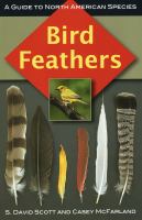 Bird feathers : a guide to North American species /