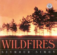Wildfires /