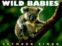 Wild babies /