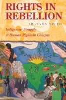 Rights in rebellion : indigenous struggle and human rights in Chiapas /