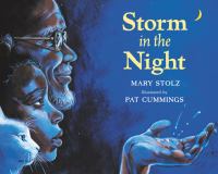 Storm in the night /