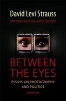 Between the eyes : essays on photography and politics /