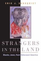 Strangers in the land : Blacks, Jews, post-Holocaust America /