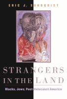 Strangers in the land : Blacks, Jews, post-Holocaust America /