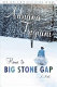 Home to Big Stone Gap : a novel /