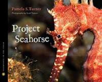 Project Seahorse /
