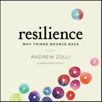 Resilience : why things bounce back /